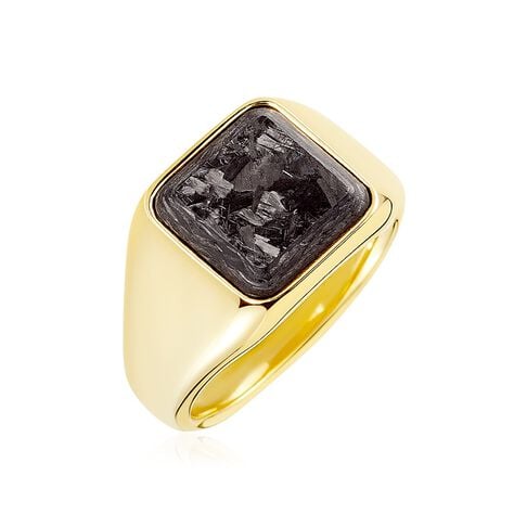 Chevalière Blake Acier Doré - Chevalières Homme | Histoire d’Or