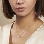 Collier Nelina Plaqu&eacute; Or Jaune Oxyde De Zirconium - Colliers fantaisie Femme | Histoire d&rsquo;Or