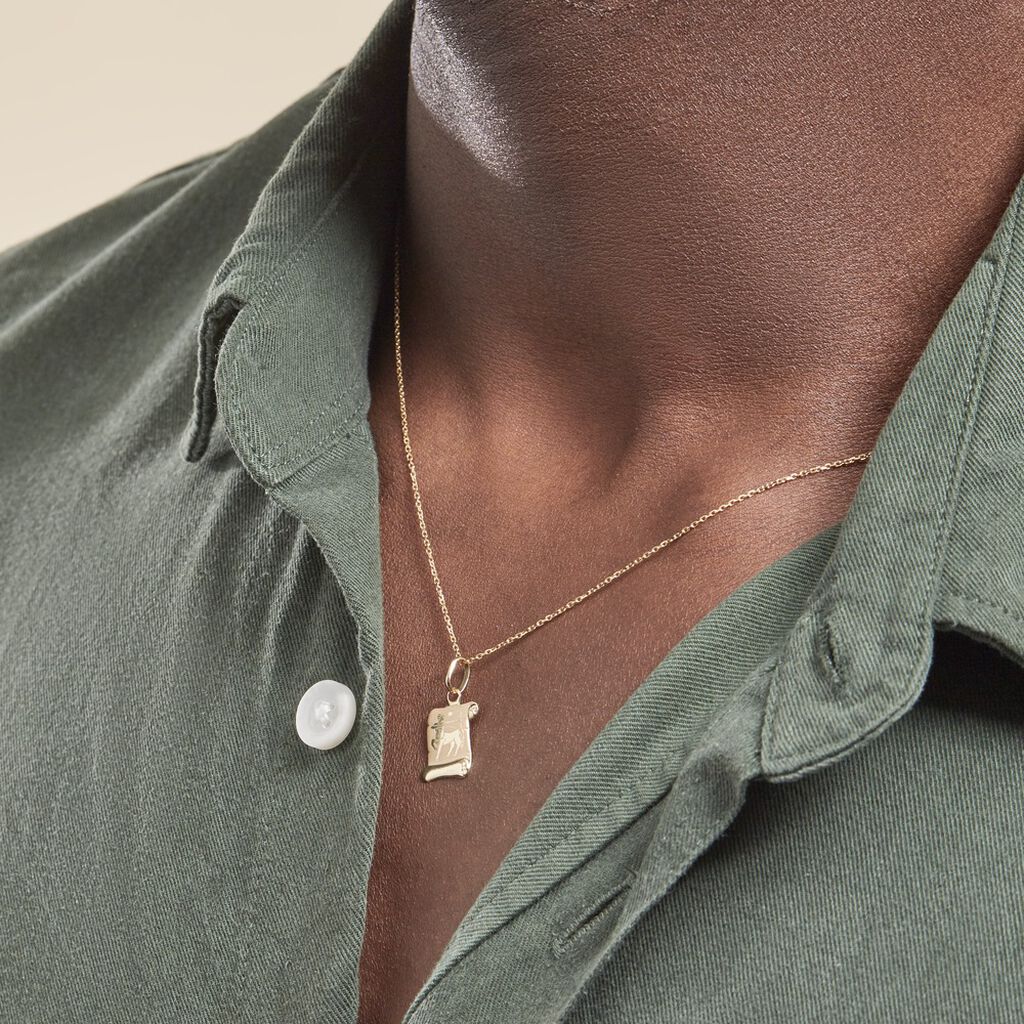 Pendentif Lamie Zodiaque Parchemin Or Jaune - Pendentifs Zodiaque Famille | Histoire d’Or