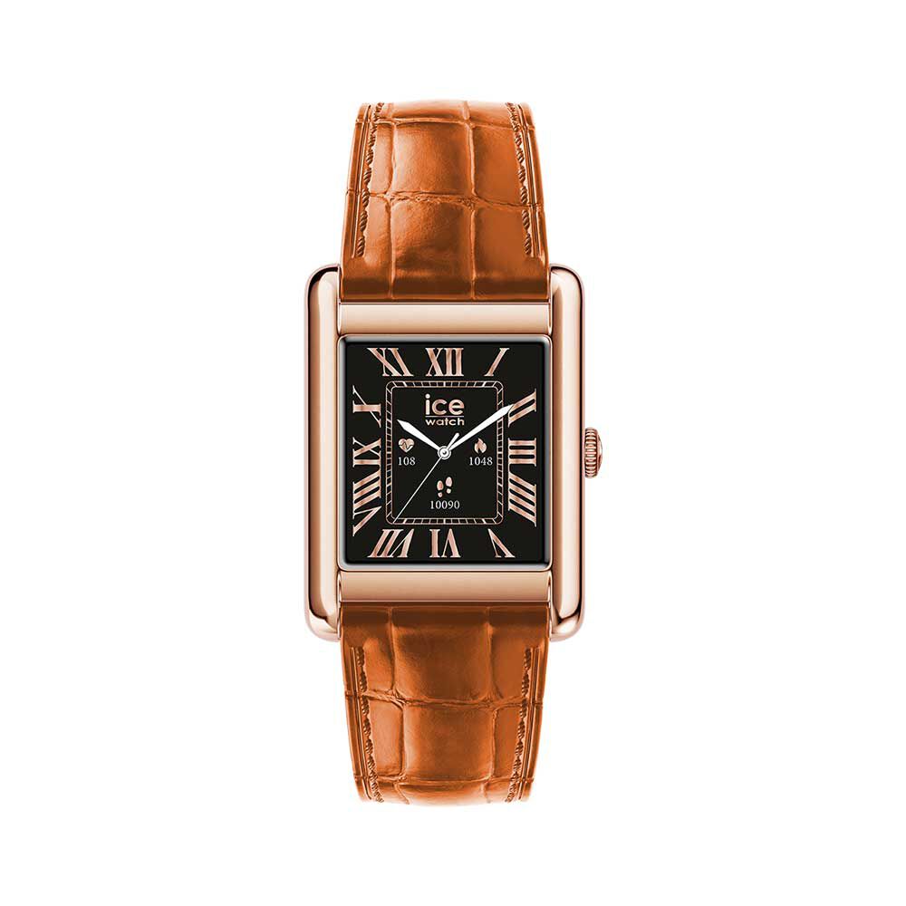 Montres connectées ICE WATCH 025383 Boucle Ardillon Anses