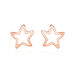 Boucles D'oreilles Puces Alphonsine Etoile De Mer Or Rose - Clous d'oreilles Femme | Histoire d’Or