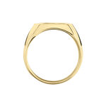 Chevali&egrave;re Leoncette Plaqu&eacute; Or Jaune - Chevali&egrave;res Homme | Histoire d&rsquo;Or