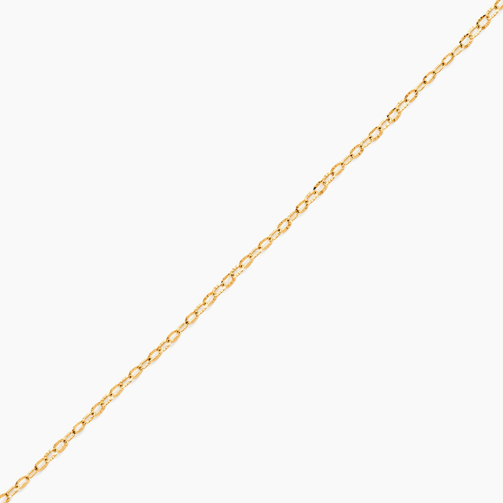 Cha&icirc;ne De Cheville Maille Solon Or Jaune - Cha&icirc;nes de cheville Femme | Histoire d&rsquo;Or
