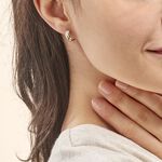 Cr&eacute;oles Igora Or Tricolore - Boucles d'oreilles cr&eacute;oles Femme | Histoire d&rsquo;Or