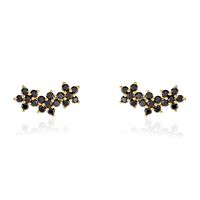 Bijoux D'oreilles Midnight Royalty Plaqué Or Jaune Oxyde De Zirconium
