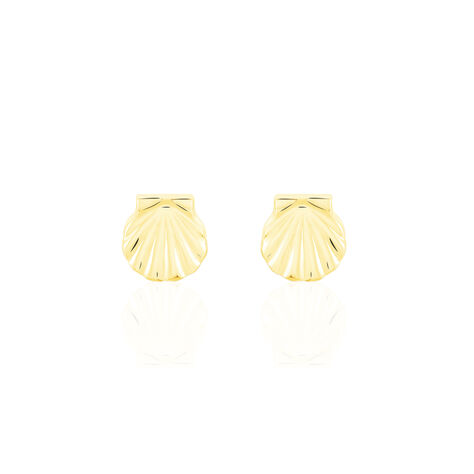 Boucles D'oreilles Puces Franzine Coquillage Or Jaune - Clous d'oreilles Femme | Histoire d’Or