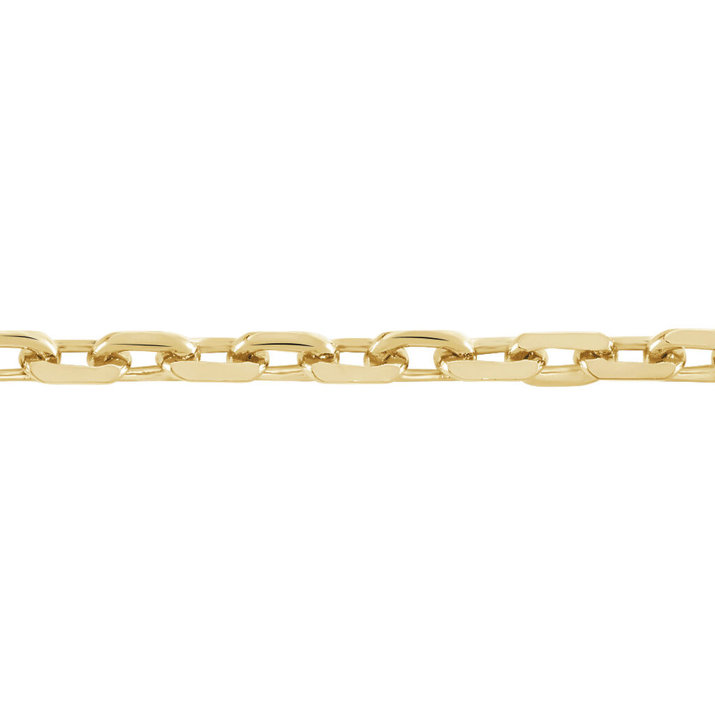Chaines Plaque Or Forcat Sans Pierre Jaune 50cm Fqchjw0029j Histoire D Or Chaines Plaque Or Forcat Sans Pierre Jaune 50cm Fqchjw0029j Histoire D Or