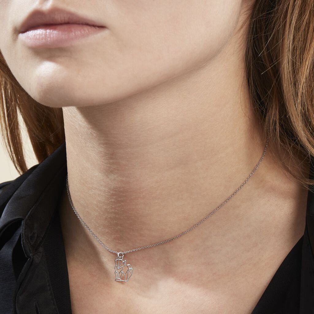 Collier Argent Blanc Alekdandarine - Ras de cou Femme | Histoire d’Or