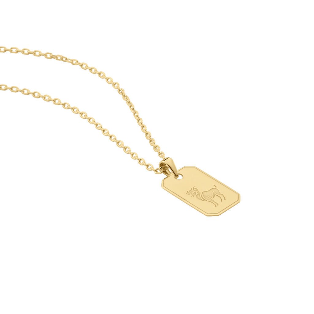 Collier Plaqu&eacute; Or Quintien - Colliers Zodiaque Homme | Histoire d&rsquo;Or