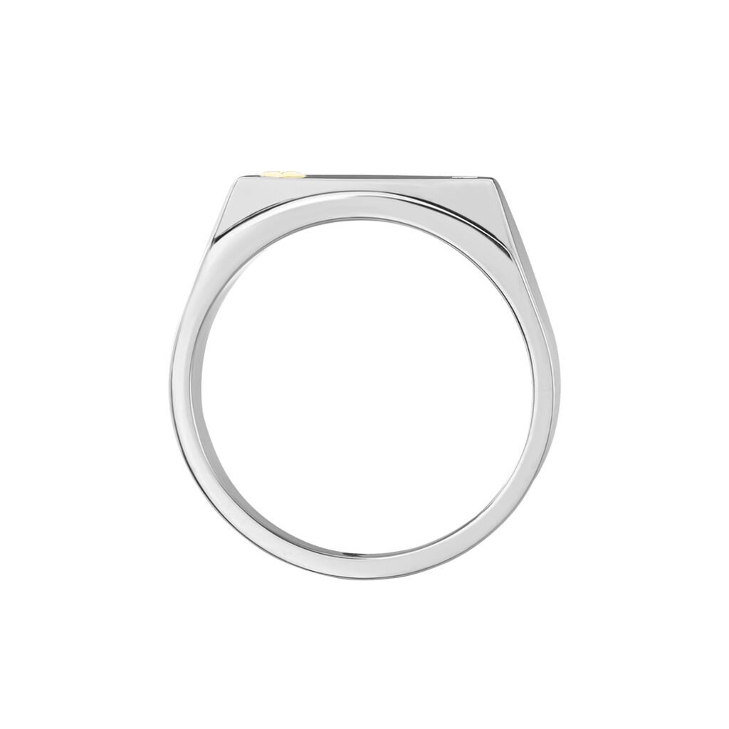 Chevali&egrave;re Jourdan Lord Acier Bicolore Diamant - Bagues solitaires Homme | Histoire d&rsquo;Or