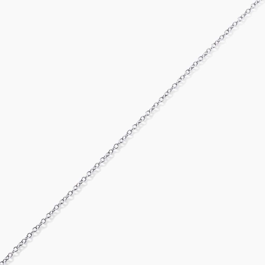 Cha&icirc;ne Ilan Maille For&ccedil;at Ronde Or Blanc - Chaines Famille | Histoire d&rsquo;Or