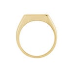 Chevali&egrave;re Kauai Plaqu&eacute; Or Jaune Pierre De Synthese - Bagues solitaires Homme | Histoire d&rsquo;Or