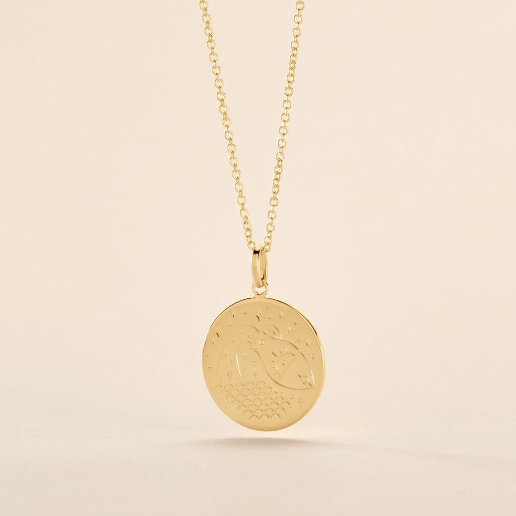 Collier Astro Plaqu&eacute; Or - Colliers Zodiaque Femme | Histoire d&rsquo;Or