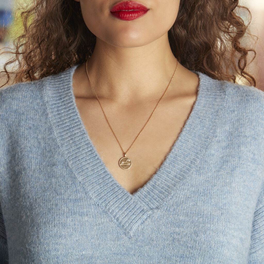 Collier Iago Plaqué Or Oxydes De Zirconium - Colliers Femme | Histoire d’Or