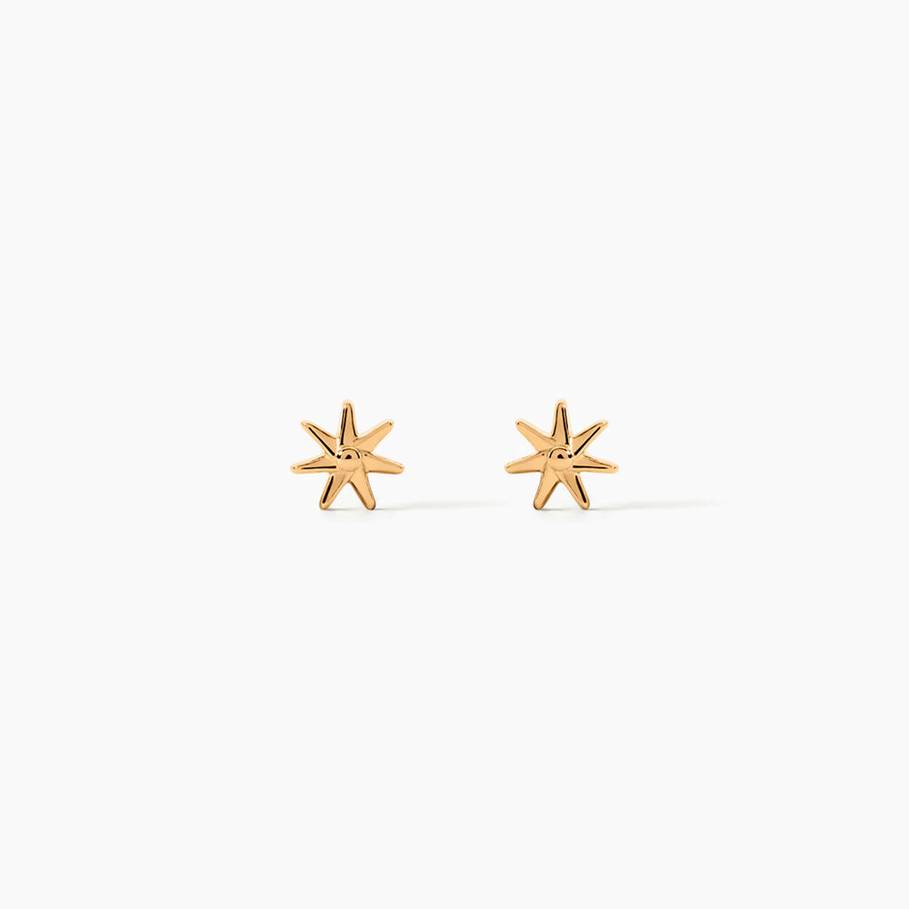 Boucles D'Oreilles Puces Shania Plaqu&eacute; Or Jaune - Boucles d'oreilles fantaisie Femme | Histoire d&rsquo;Or