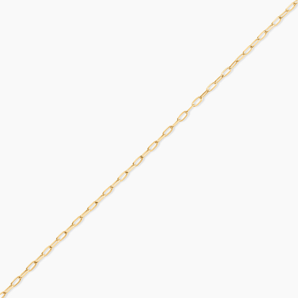 Chaine Or Jaune Stevia - Bijoux sans pierre Famille | Histoire d&rsquo;Or
