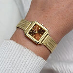 Montre Cluse Gracieuse Mini Marron - F&ecirc;te des m&egrave;res Femme | Histoire d&rsquo;Or