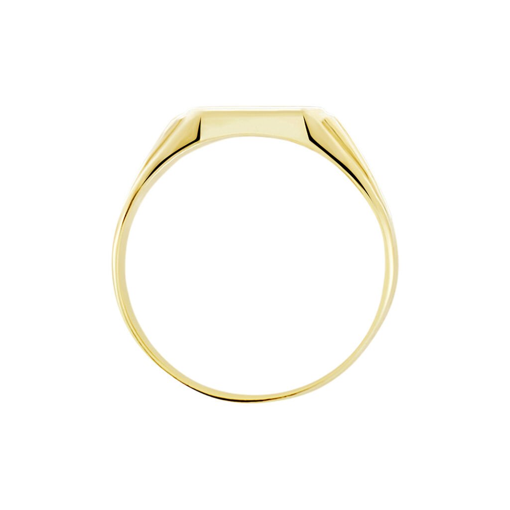 Chevali&egrave;re Goliath Carree Diamantee Or Jaune - Chevali&egrave;res Unisex | Histoire d&rsquo;Or