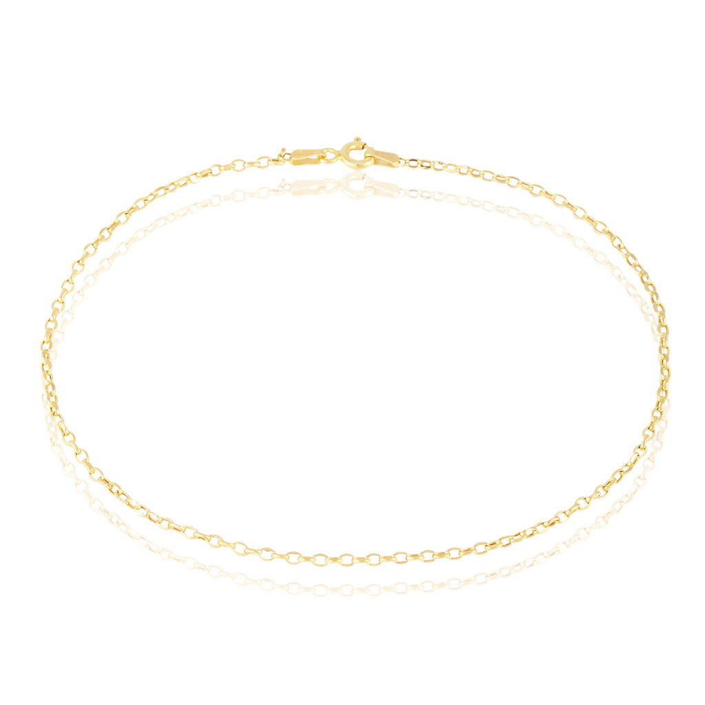 Chaîne De Cheville Maille Jaseron Or Jaune - Chaînes de cheville Femme | Histoire d’Or