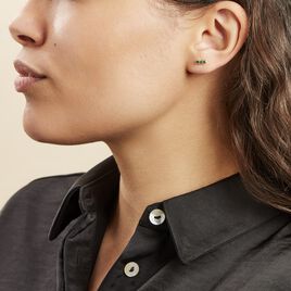 Boucles D'oreilles Puces Plaqué Or Jaune Alodia Spnielles - Boucles d'oreilles fantaisie Femme | Histoire d’Or