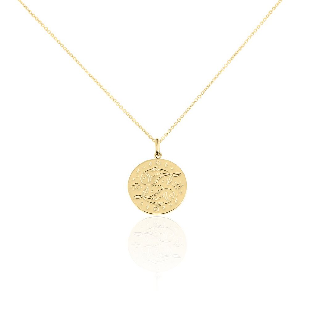 Collier Astro Plaqué Or - Colliers Femme | Histoire d’Or