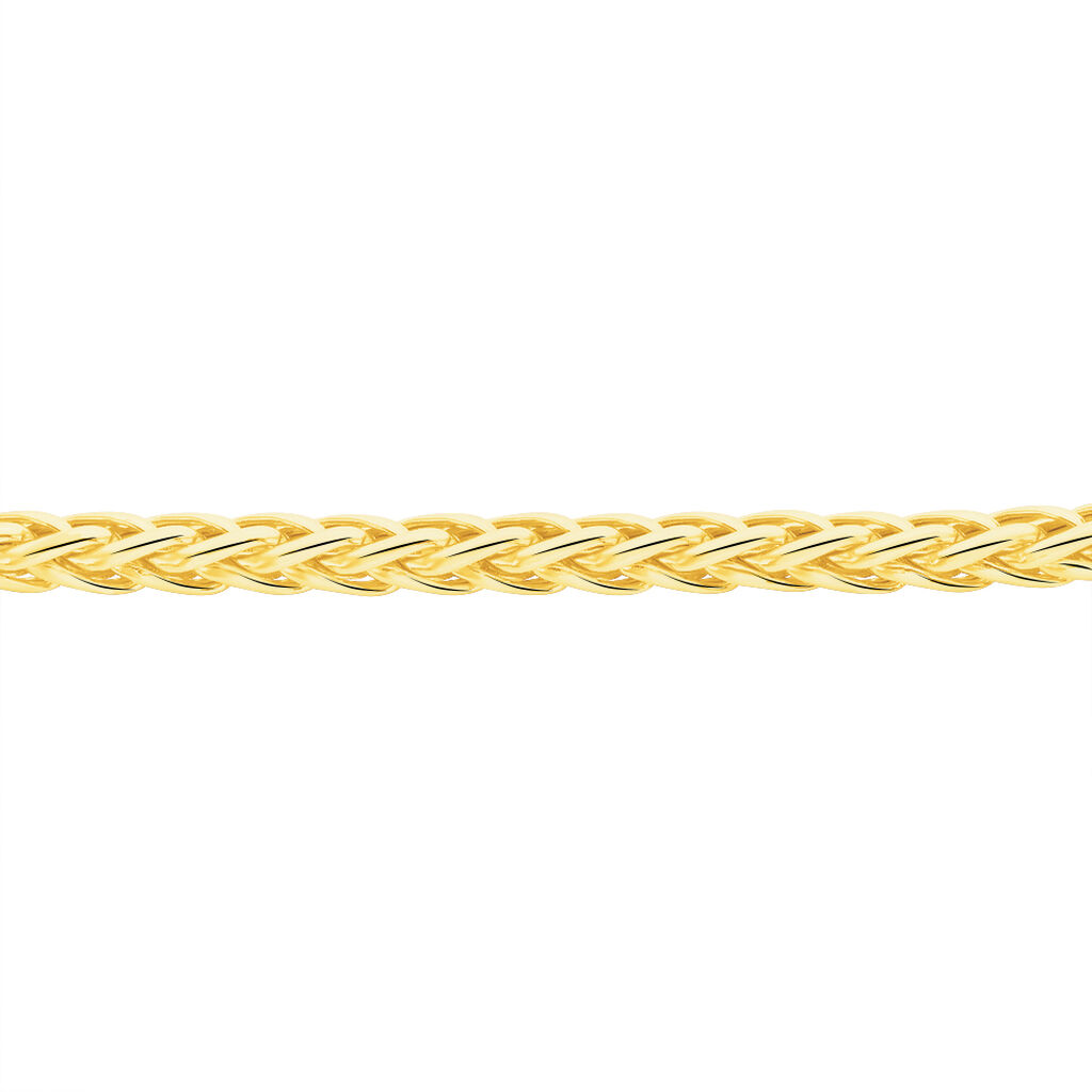 Bracelet Jany Maille Palmier Or Jaune - Bracelets cha&icirc;ne Femme | Histoire d&rsquo;Or