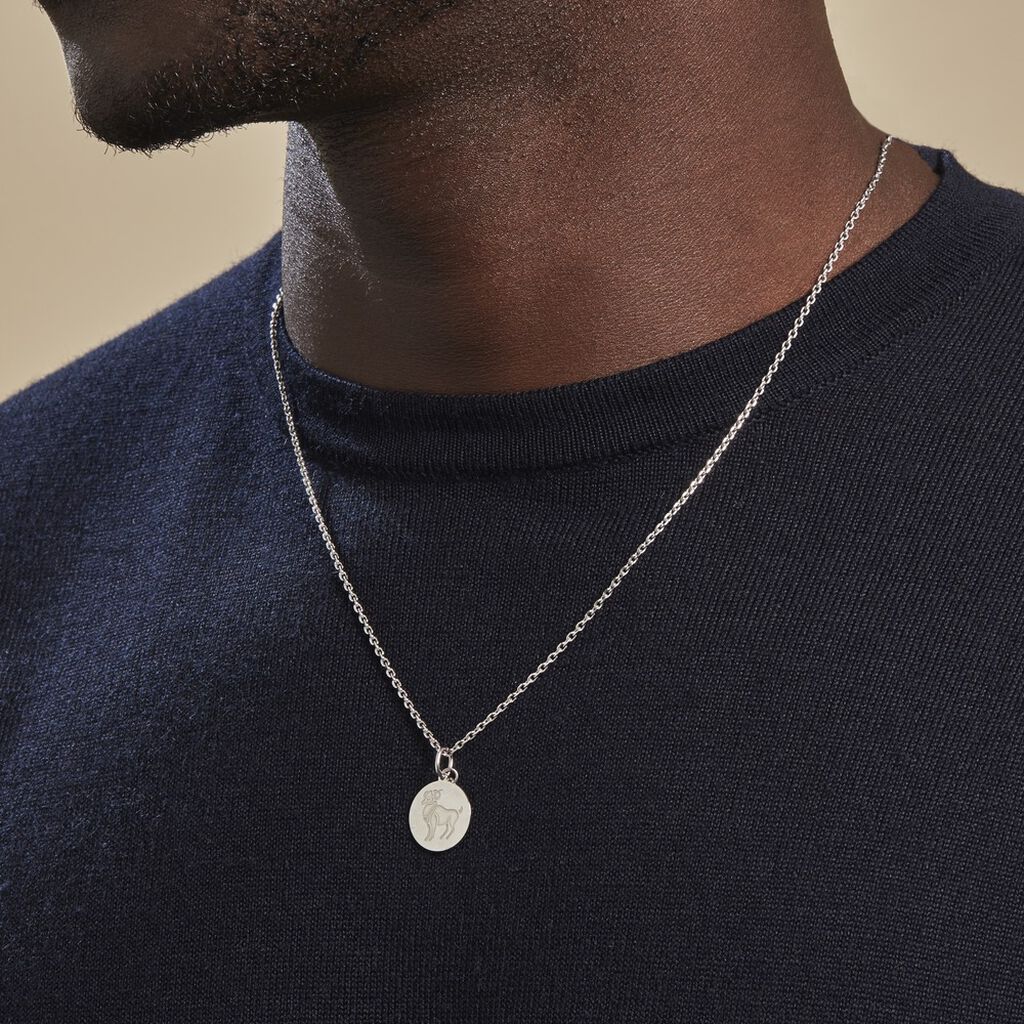 Pendentif Zodiaque Rond Argent Blanc - Pendentifs Zodiaque Famille | Histoire d’Or