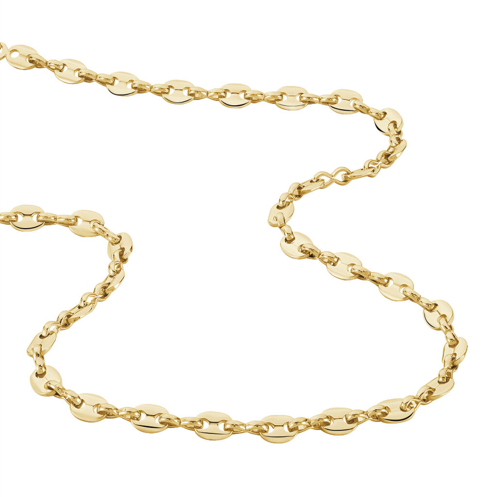 Collier William Plaqu&eacute; Or Jaune - Chaines Femme | Histoire d&rsquo;Or