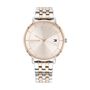 Montre Tommy Hilfiger Rose