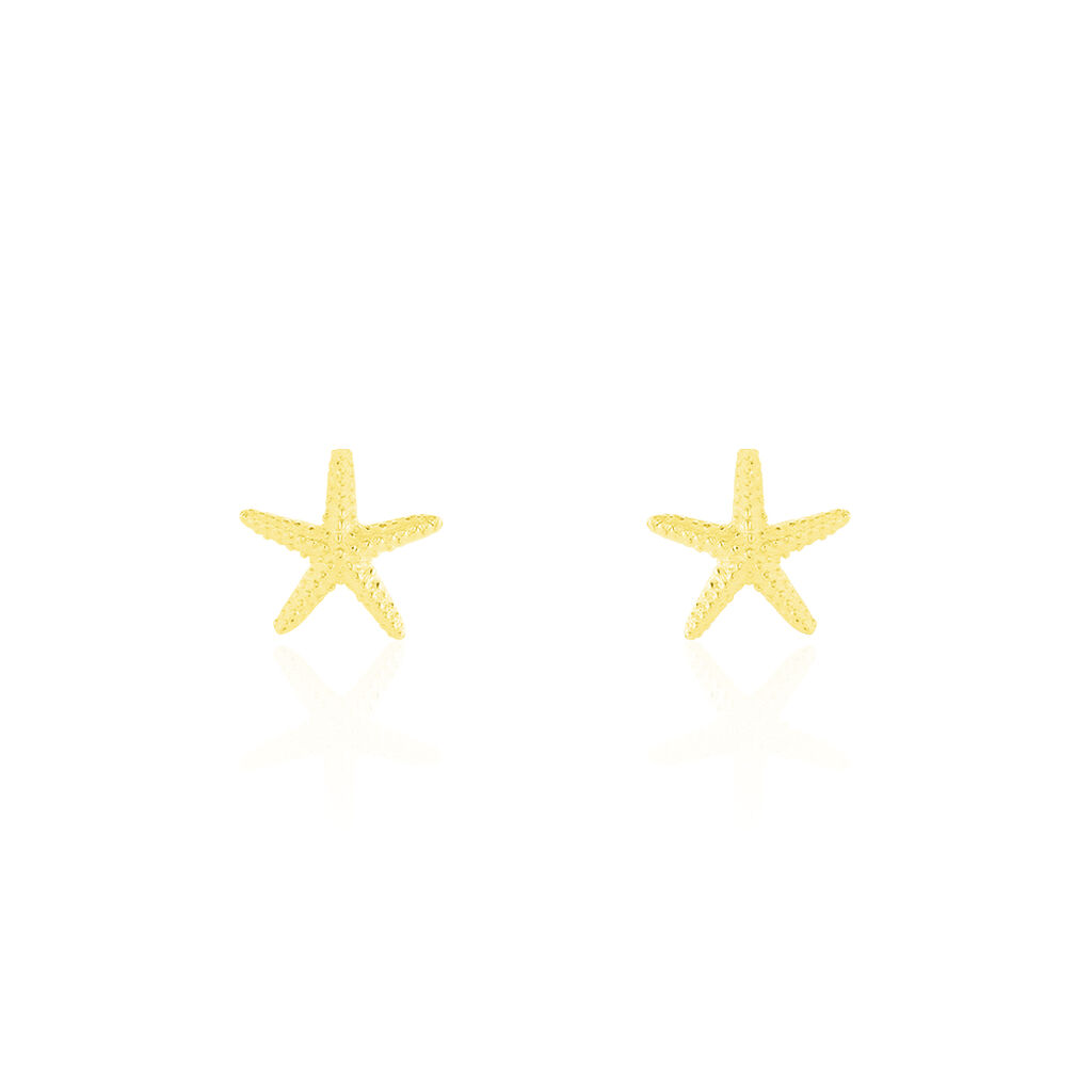 Boucles D'oreilles Or Jaune Aenor Puces - Clous d'oreilles Femme | Histoire d’Or