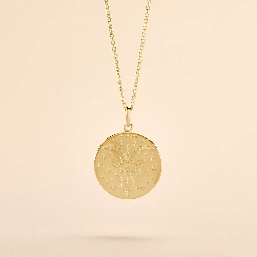 Collier Astro Plaqu&eacute; Or - Colliers Zodiaque Femme | Histoire d&rsquo;Or