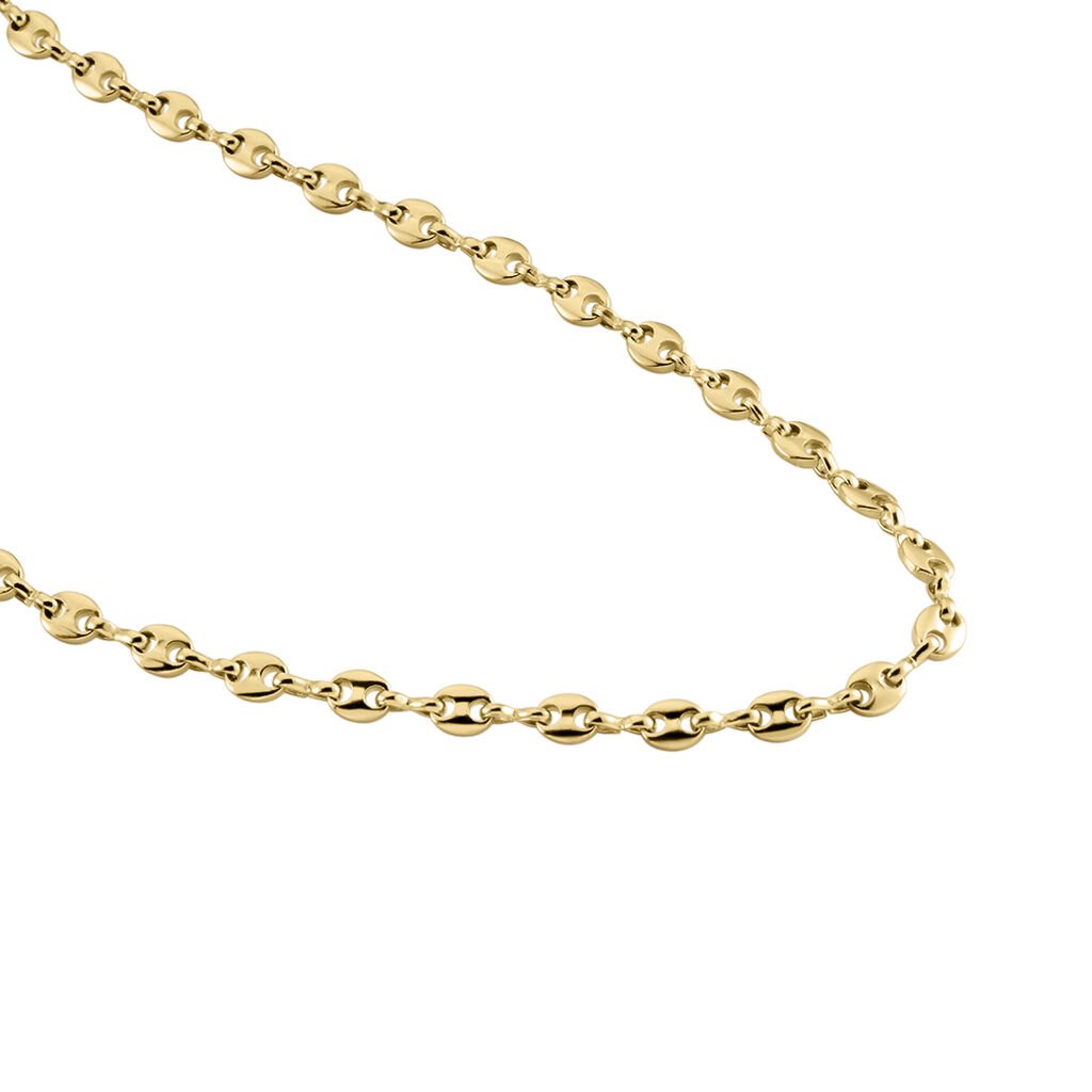 Collier Plaqué Or Jaune William - Chaines Homme | Histoire d’Or