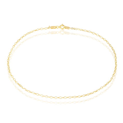 Cha&icirc;ne De Cheville Maille Jaseron Or Jaune - Cha&icirc;nes de cheville Femme | Histoire d&rsquo;Or