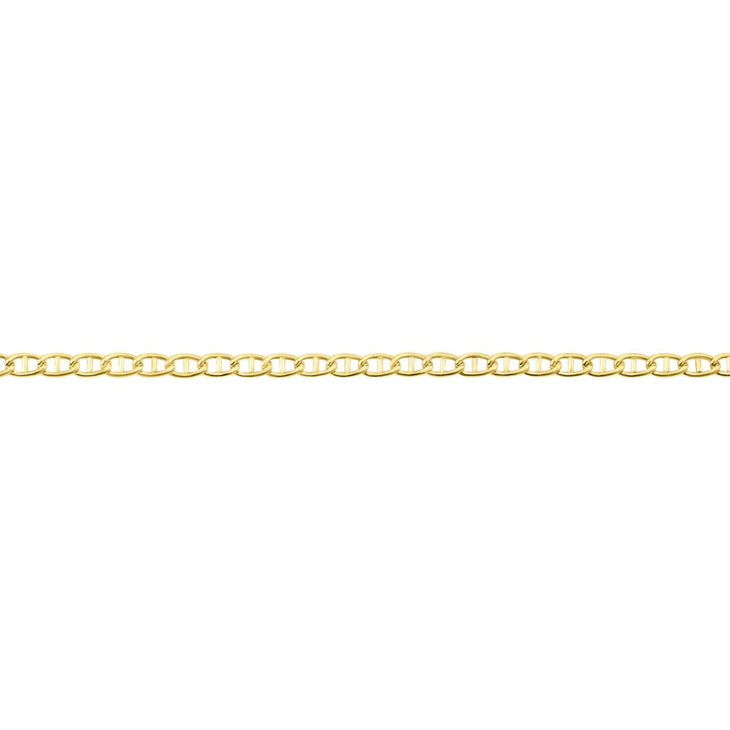 Collier Capucin Or Jaune Maille Marine Plate - Chaines Homme | Histoire d’Or