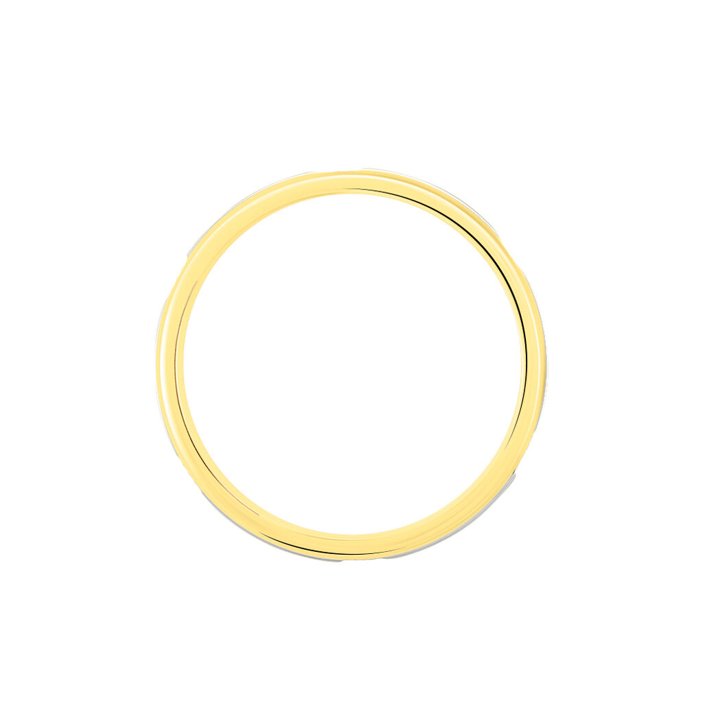 Alliance Sequana Ruban Plat Or Bicolore - Alliances Famille | Histoire d’Or