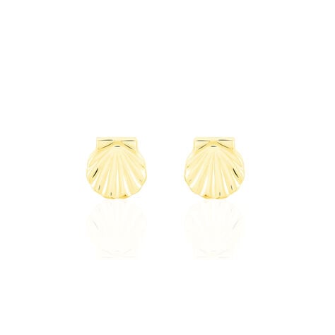 Boucles D'oreilles Puces Franzine Coquillage Or Jaune - Clous d'oreilles Femme | Histoire d’Or