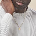 Pendentif Lamie Zodiaque Or Jaune - Pendentifs Zodiaque Unisex | Histoire d&rsquo;Or