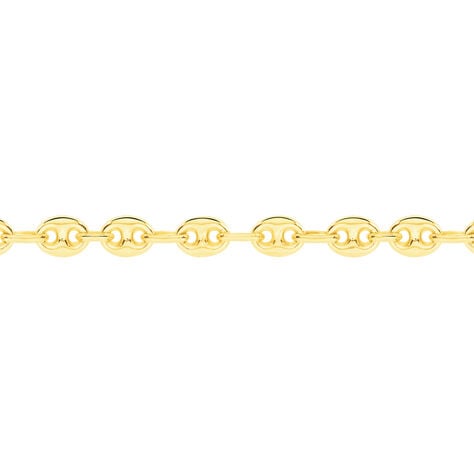 Collier Dami Maille Grain De Cafe Or Jaune - Chaines Femme | Histoire d’Or
