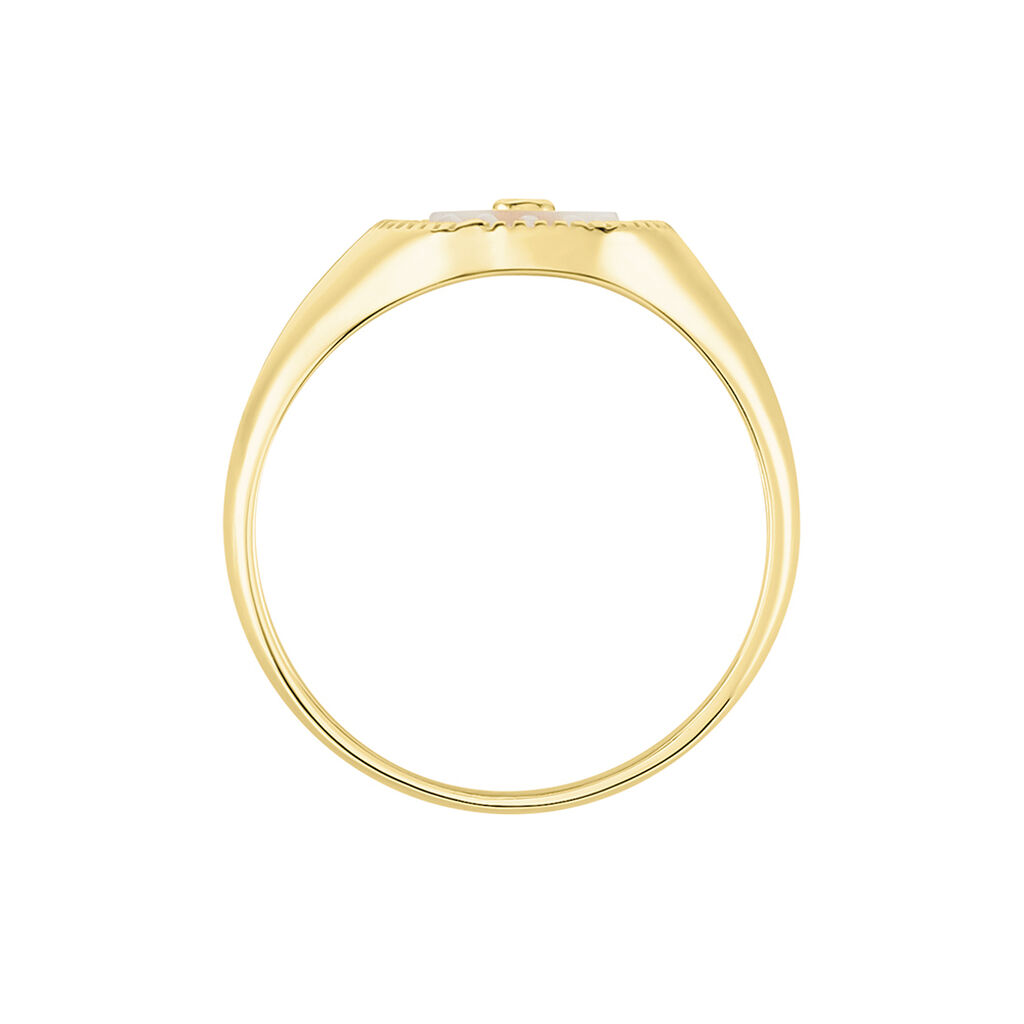 Chevali&egrave;re Goddess Argent Dor&eacute; Nacre Oxyde De Zirconium - Bagues solitaires Femme | Histoire d&rsquo;Or