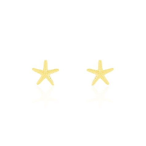 Boucles D'oreilles Or Jaune Aenor Puces - Clous d'oreilles Femme | Histoire d’Or