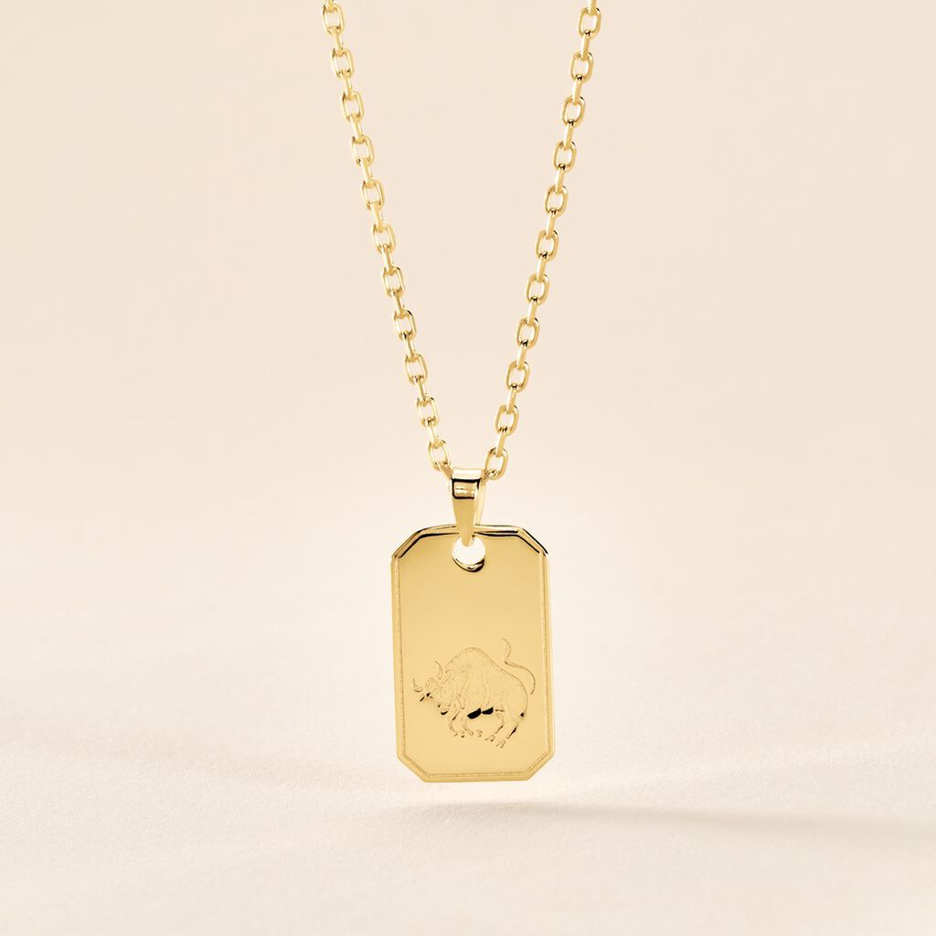 Collier Plaqu&eacute; Or Quintien - Colliers Zodiaque Homme | Histoire d&rsquo;Or