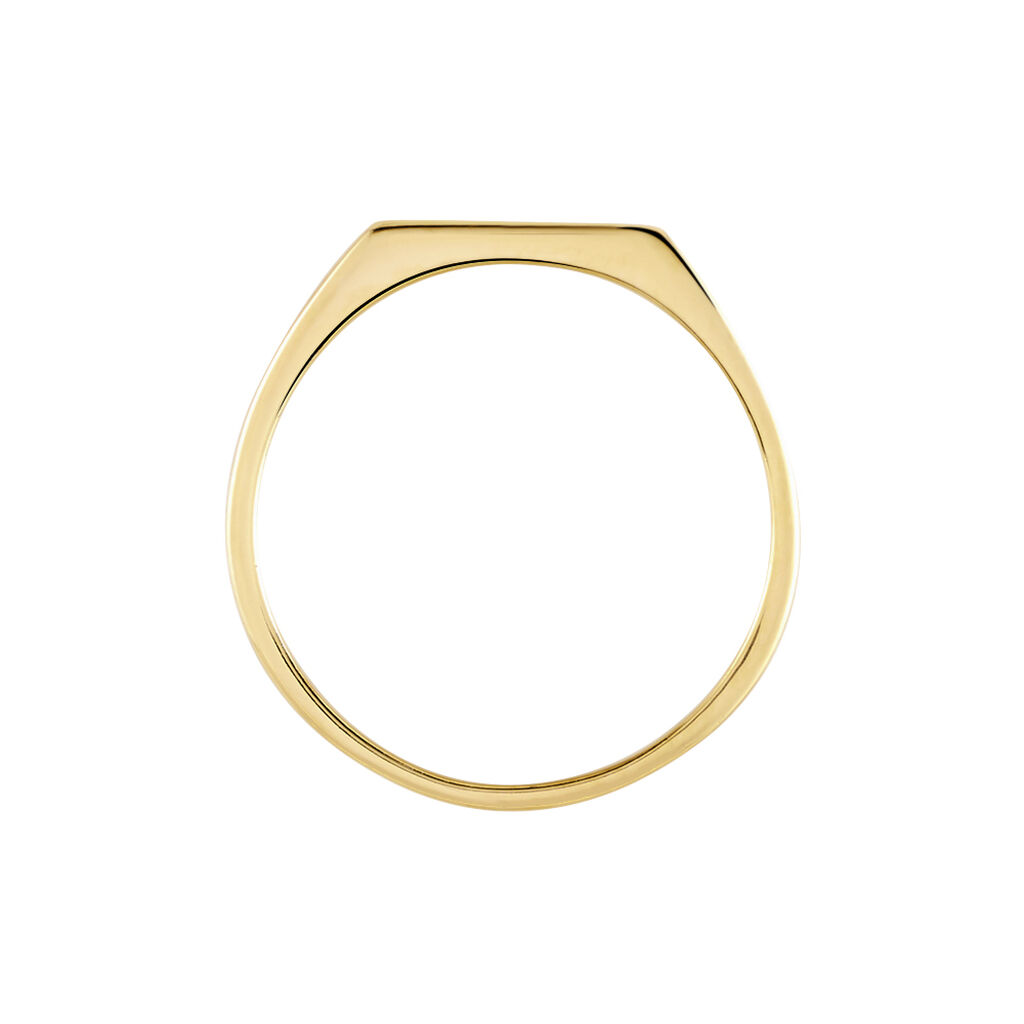 Chevali&egrave;re Plaqu&eacute; Or Jaune Alfonso - Chevali&egrave;res Homme | Histoire d&rsquo;Or