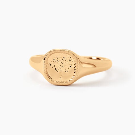 Chevali&egrave;re Aviv Plaqu&eacute; Or Jaune - Chevali&egrave;res Femme | Histoire d&rsquo;Or