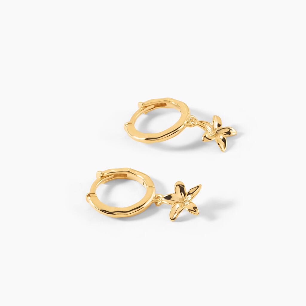 Cr&eacute;oles Nine Argent Dor&eacute; A L'Or 750/1000 - Boucles d'oreilles cr&eacute;oles Femme | Histoire d&rsquo;Or