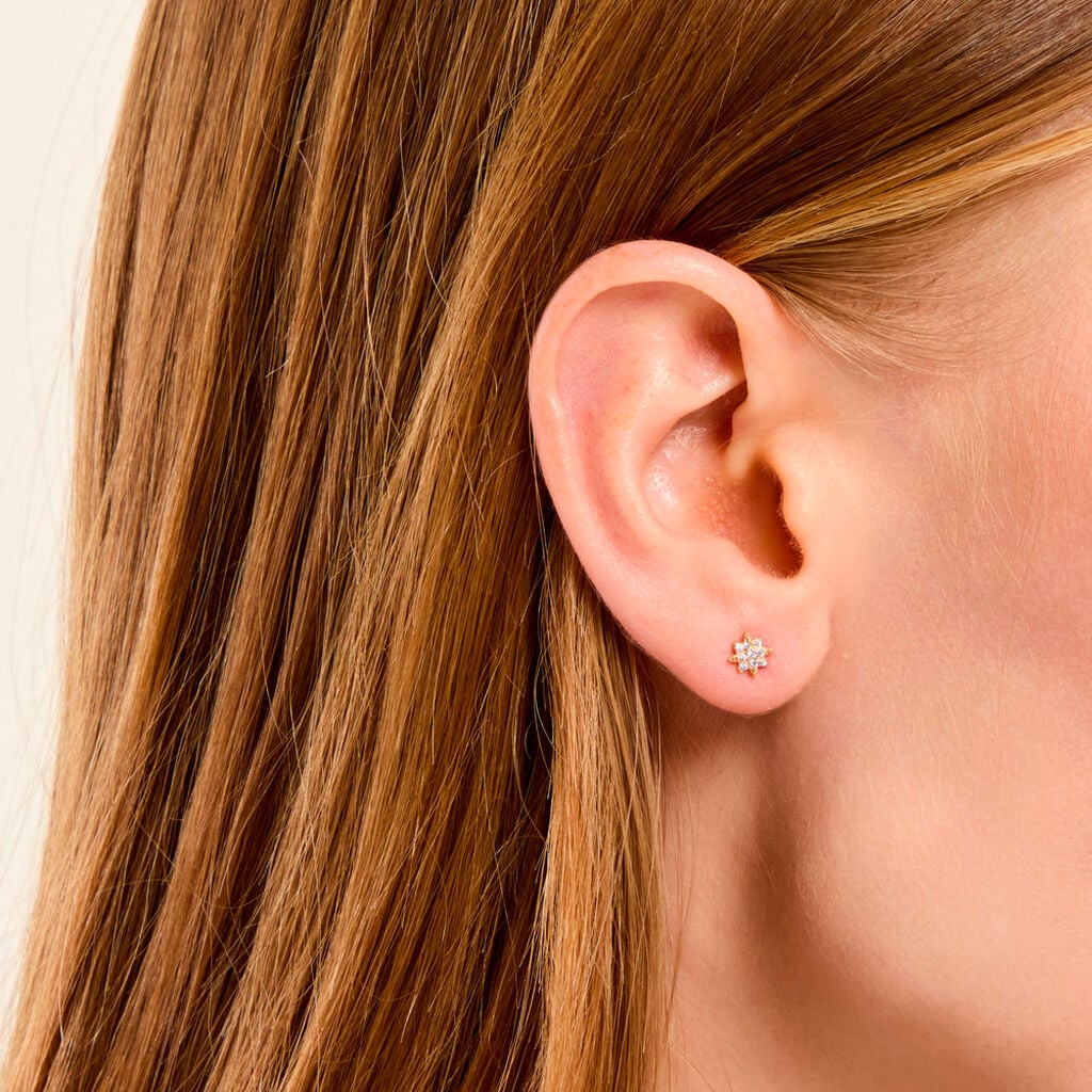 Boucles D'Oreilles Puces Aubepine Argent Dor&eacute; A L'Or 750/1000 Oxyde De Zirconium - Boucles d'oreilles fantaisie Femme | Histoire d&rsquo;Or