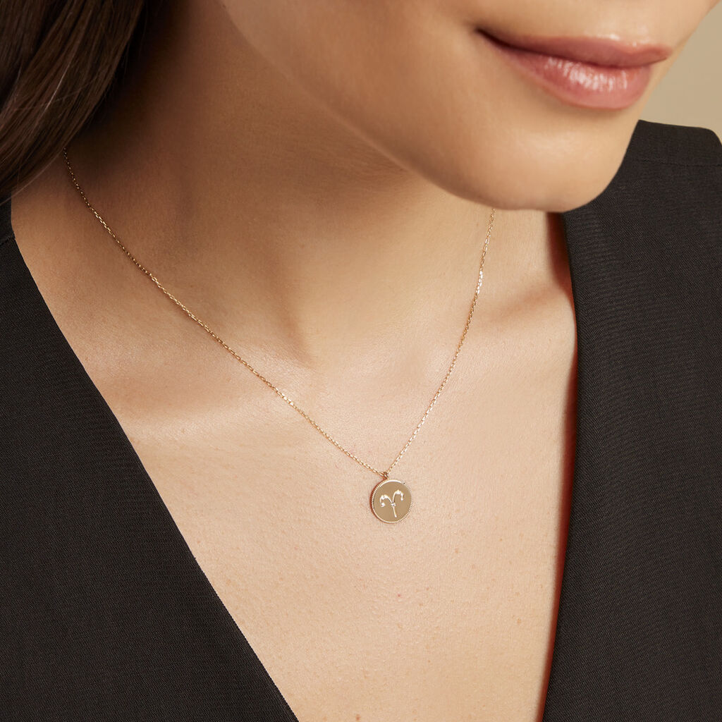 Collier Astrolae Or Jaune Diamant - Colliers Zodiaque Femme | Histoire d’Or