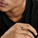 Chevali&egrave;re Henry Plaque Or Jaune - Chevali&egrave;res Homme | Histoire d&rsquo;Or