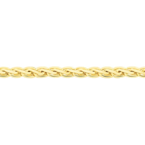 Collier Jayna Maille Palmier Or Jaune - Chaines Femme | Histoire d’Or