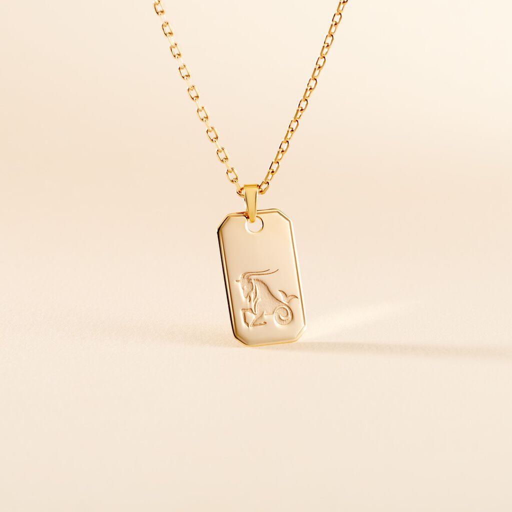 Collier Plaqu&eacute; Or Quintien - Colliers Zodiaque Homme | Histoire d&rsquo;Or