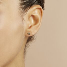 Boucles D'oreilles Puces Lapin Or Or Jaune - Clous d'oreilles Enfant | Histoire d’Or